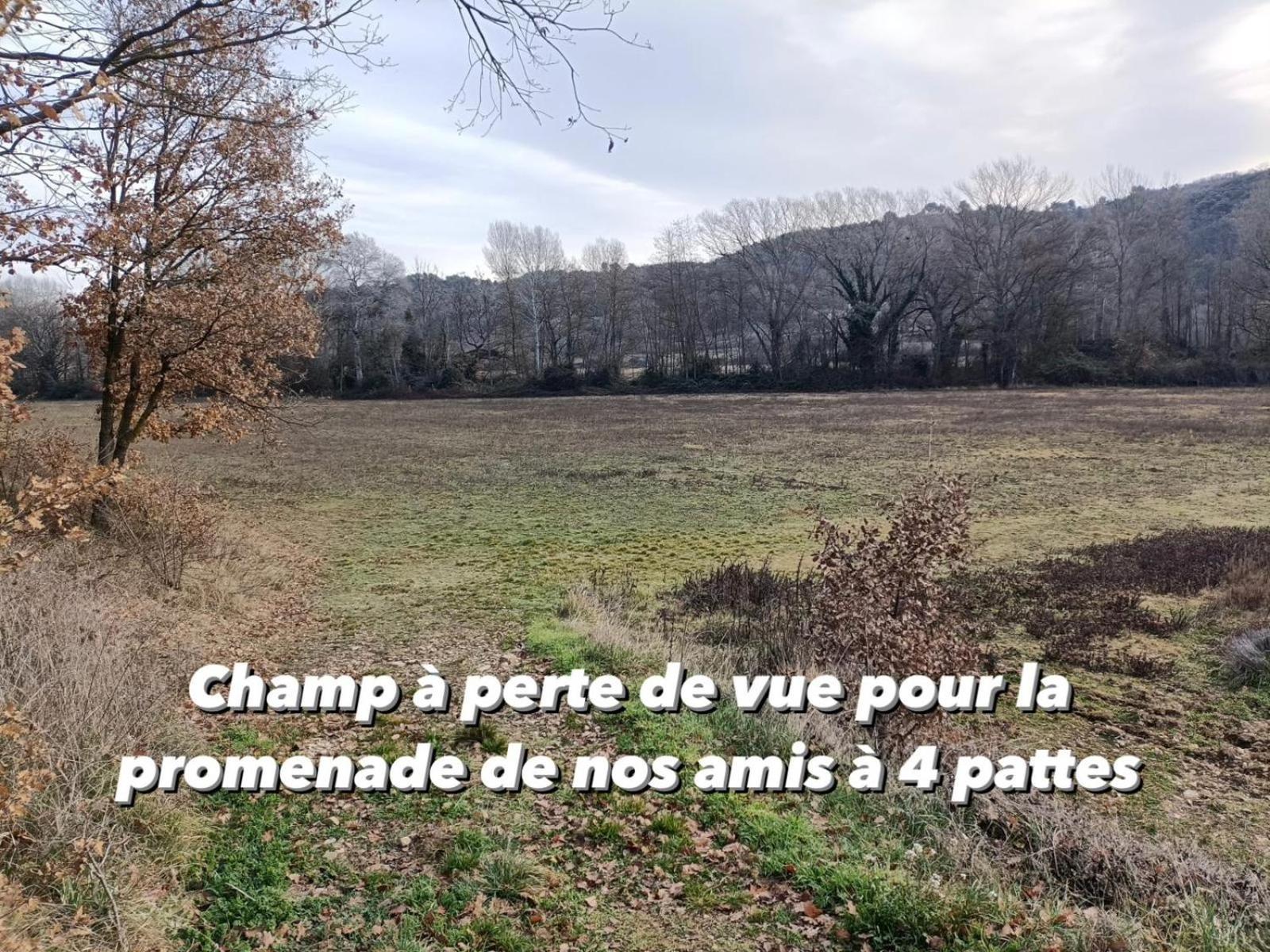 Gite Avec Terrasse Privee Proche Des Gorges Du Verdon 알레망엥프로방스 외부 사진